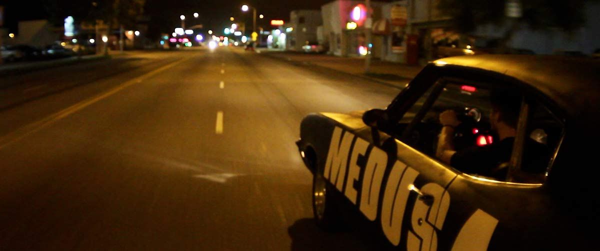 Bellflower : Photo