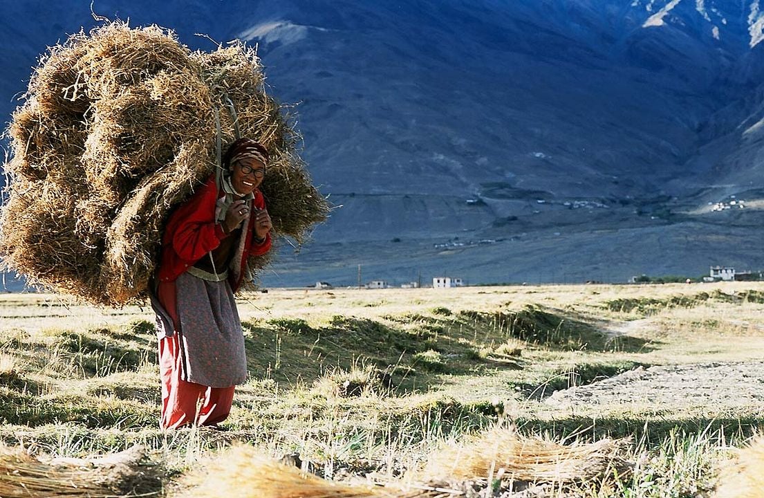 Himalaya, terre des femmes : Photo