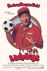 Ladybugs : Affiche
