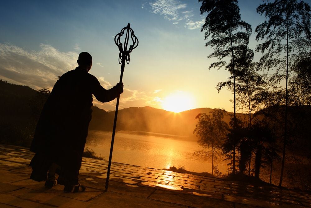 Le Sorcier et le serpent blanc : Photo