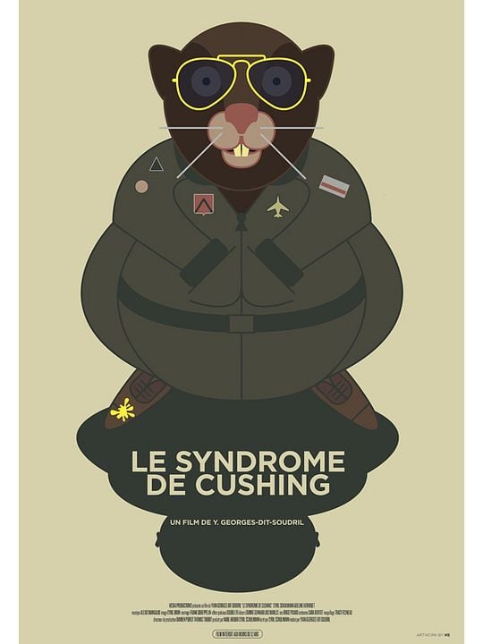 Le Syndrome de Cushing : Affiche