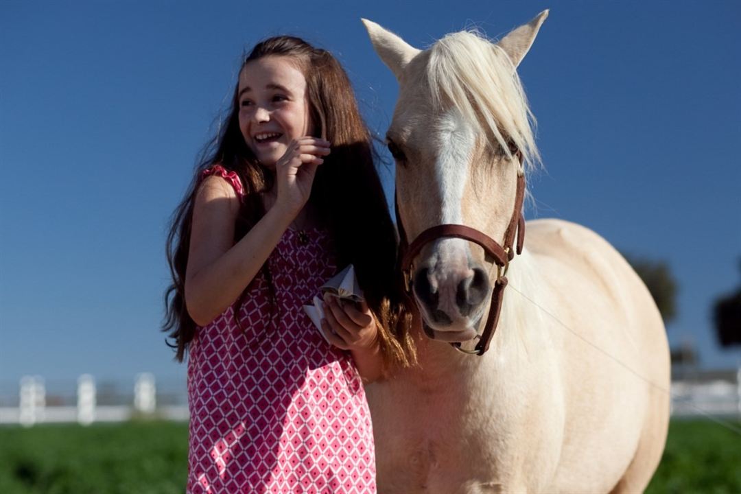 La Princesse et le poney : Photo