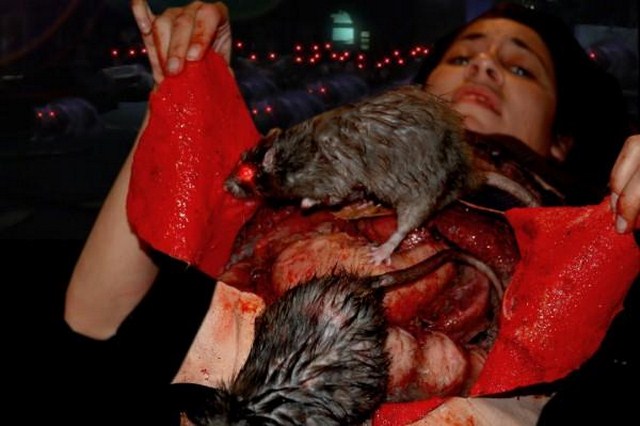 Rat Scratch Fever : Photo