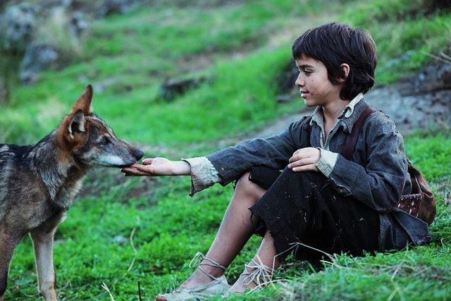 L'Enfant loup : Photo