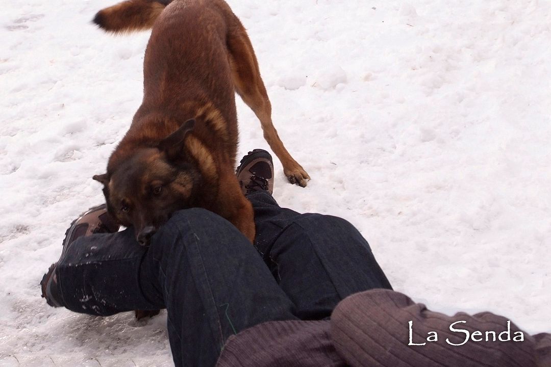L'Emprise du mal : Photo