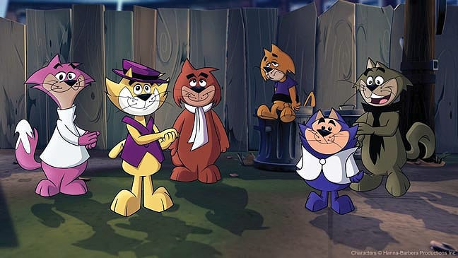 Top Cat : Photo