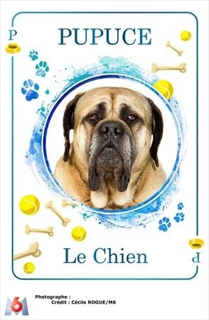 En Famille : Photo
