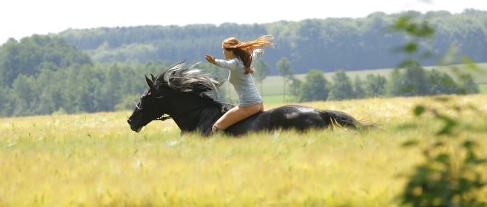 Whisper : Libres comme le vent : Photo