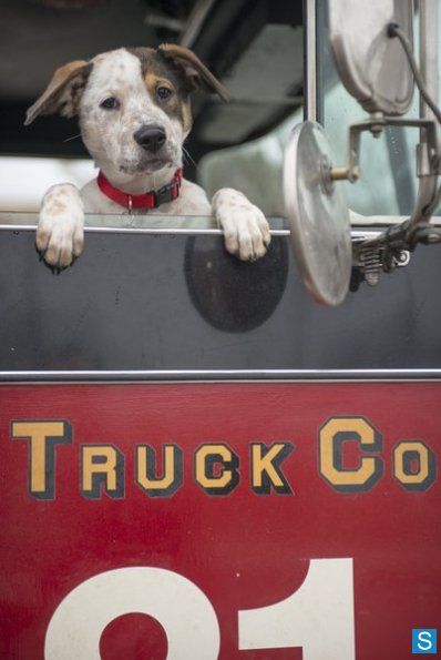 Chicago Fire : Photo