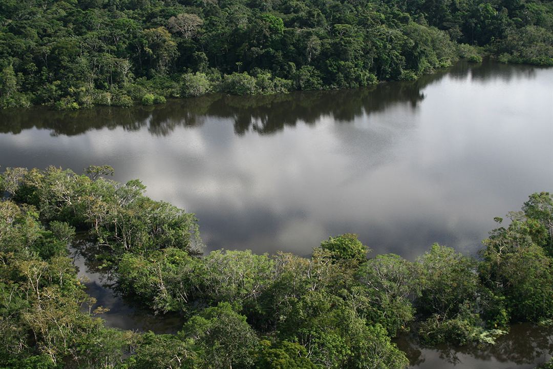 Ecuador une politique au-delà de l'utopie : Photo