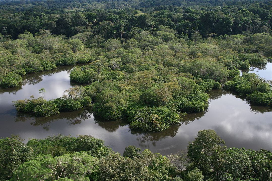 Ecuador une politique au-delà de l'utopie : Photo