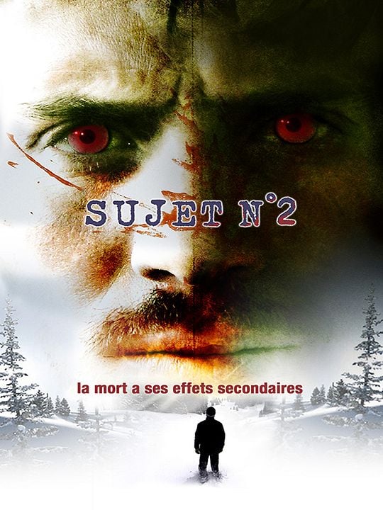 Sujet n°2 : Affiche