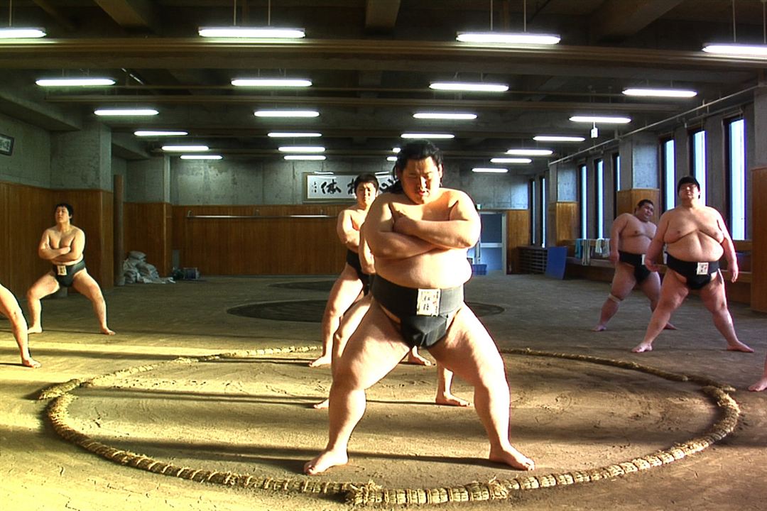 Tu seras sumo : Photo