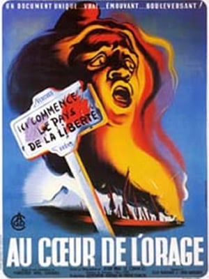 Au coeur de l'orage : Affiche