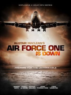 Air Force One ne répond plus : Affiche