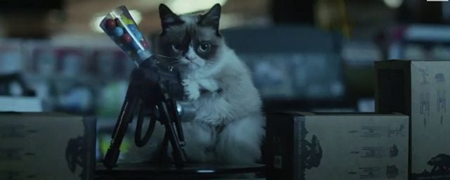 Grumpy Cat Le Film Une Premiere Bande Annonce Pour Le Chat Le Plus Celebre D Internet Actus Cine Allocine