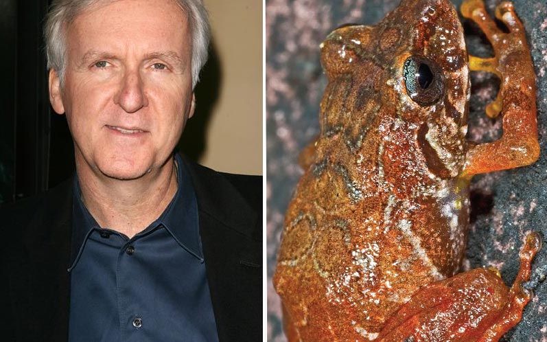 James Cameron
