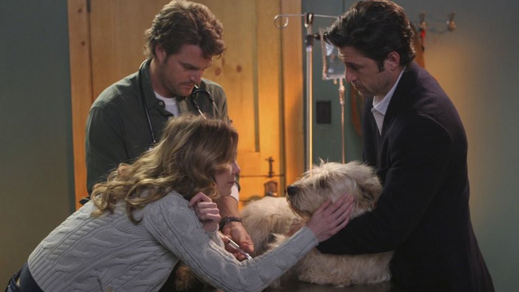 Addison Apprend La Mort De Derek Grey's Anatomy : tous les malheurs qui ont frappé Meredith depuis le
