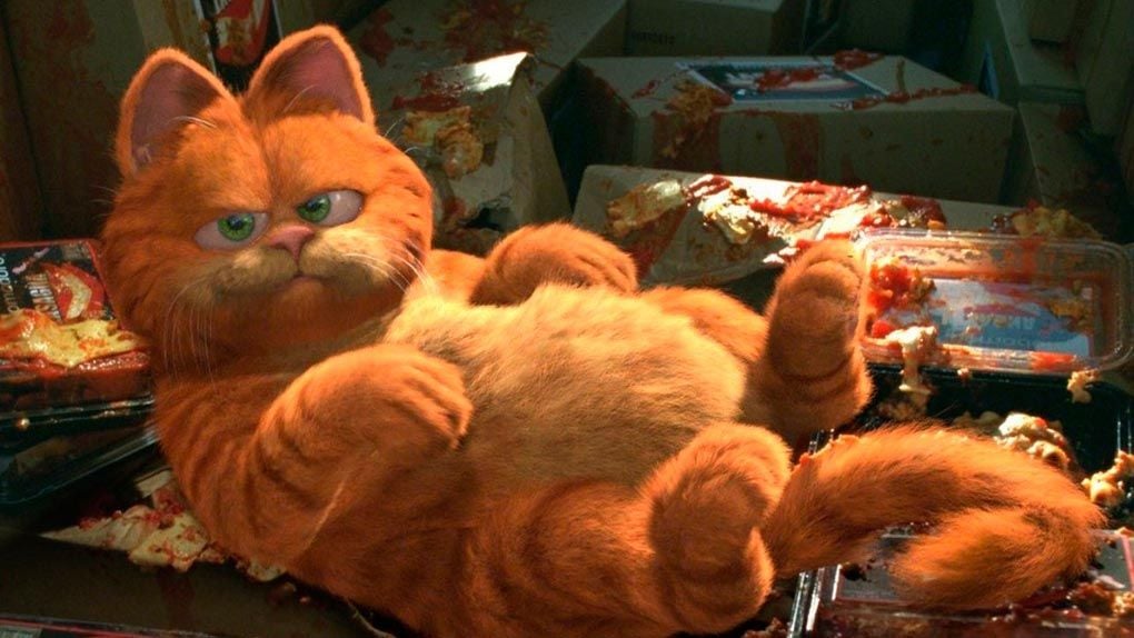 Comment S Appelle Le Chien Dans Garfield Captain Marvel : Goose s'ajoute à la liste de nos chats de cinéma