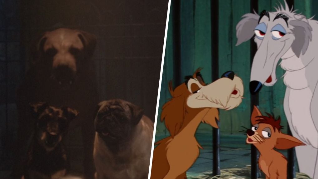 La Belle et le Clochard (Disney+) la comparaison entre le film et le dessin animé Les chiens La Belle et le Clochard (Disney+) la comparaison entre le film et le dessin animé Les chiens