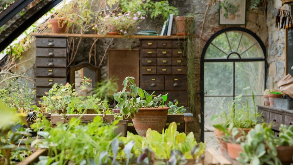 Ici Tout Commence Sur Tf1 Ou Est Tourne Le Spin Off De Demain Nous Appartient Dans Les Coulisses D Ici Tout Commence A Saint Laurent D Aigouze Dans Le Gard Allocine