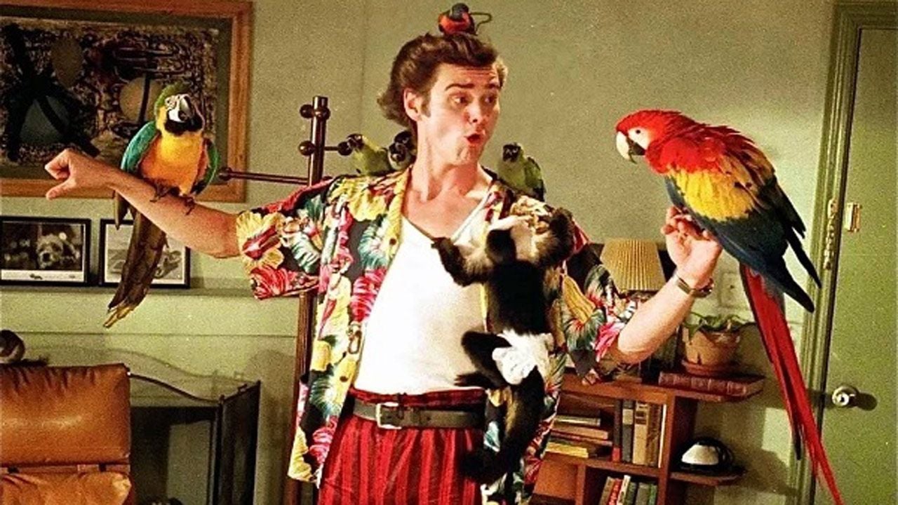 Ace Ventura Streaming Vf Gratuit [Le plus préféré] ace ventura detective chien et chat streaming vf
