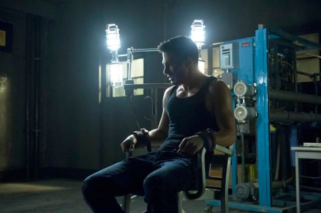 Arrow : Photo Colton Haynes
