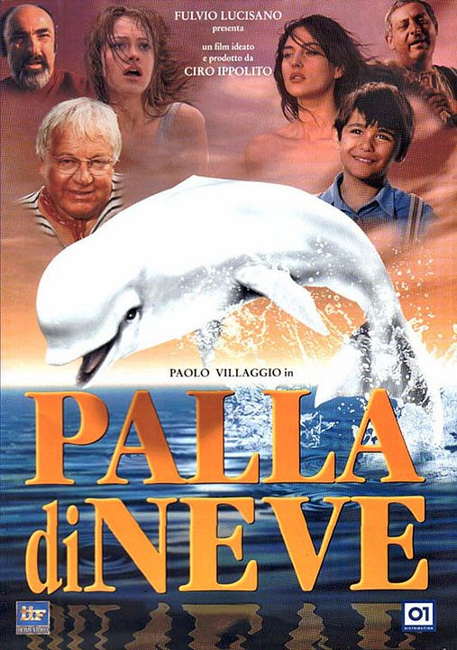 Palla di neve : Affiche