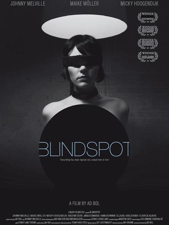 Blindspot : Affiche