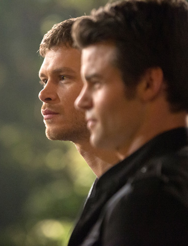 The Originals : Photo Daniel Gillies, Joseph Morgan