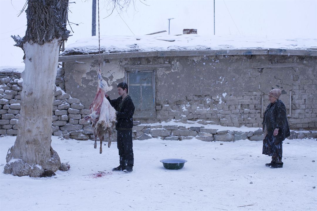 Leçons d'harmonie : Photo Timur Aidarbekov