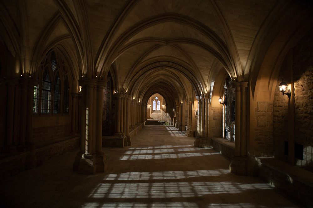 Vampire Academy : Photo