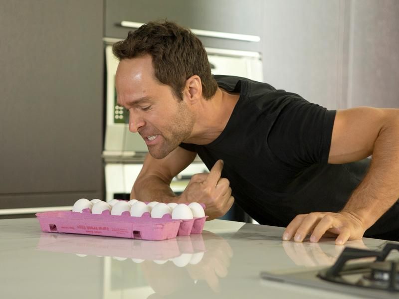 Episodes : Photo Chris Diamantopoulos