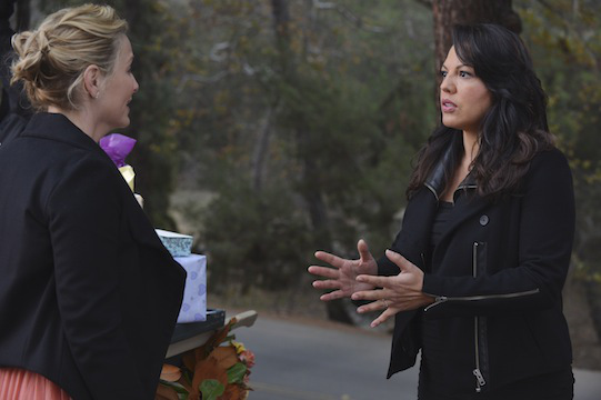 Grey's Anatomy : Photo Sara Ramirez, Jessica Capshaw