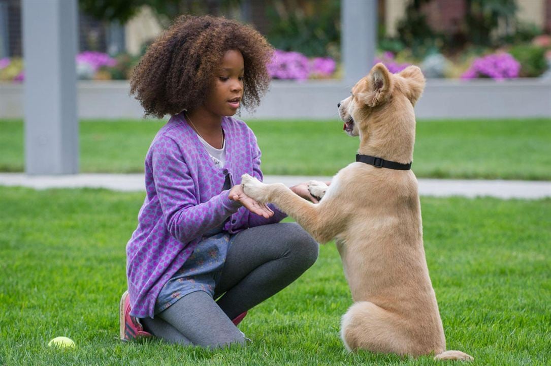 Annie : Photo Quvenzhané Wallis