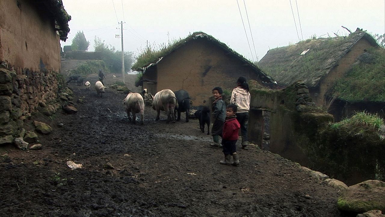 Les Trois soeurs du Yunnan : Photo