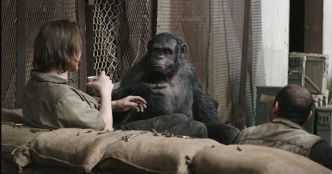 La Planète des singes : l'affrontement : Photo