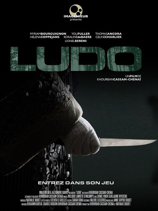 Ludo : Affiche