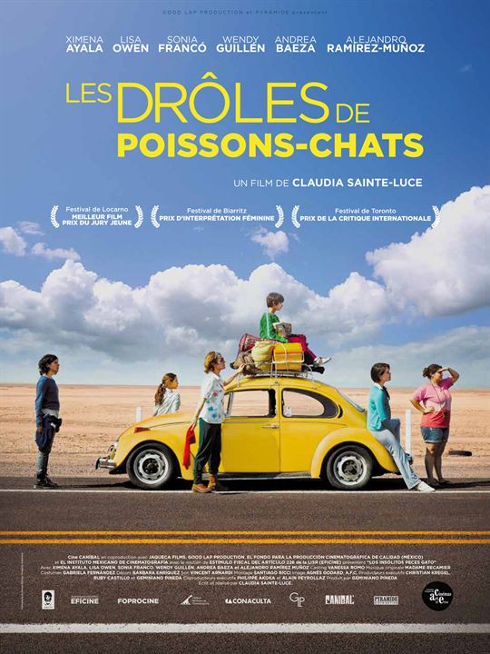 Les drôles de poissons-chats : Affiche