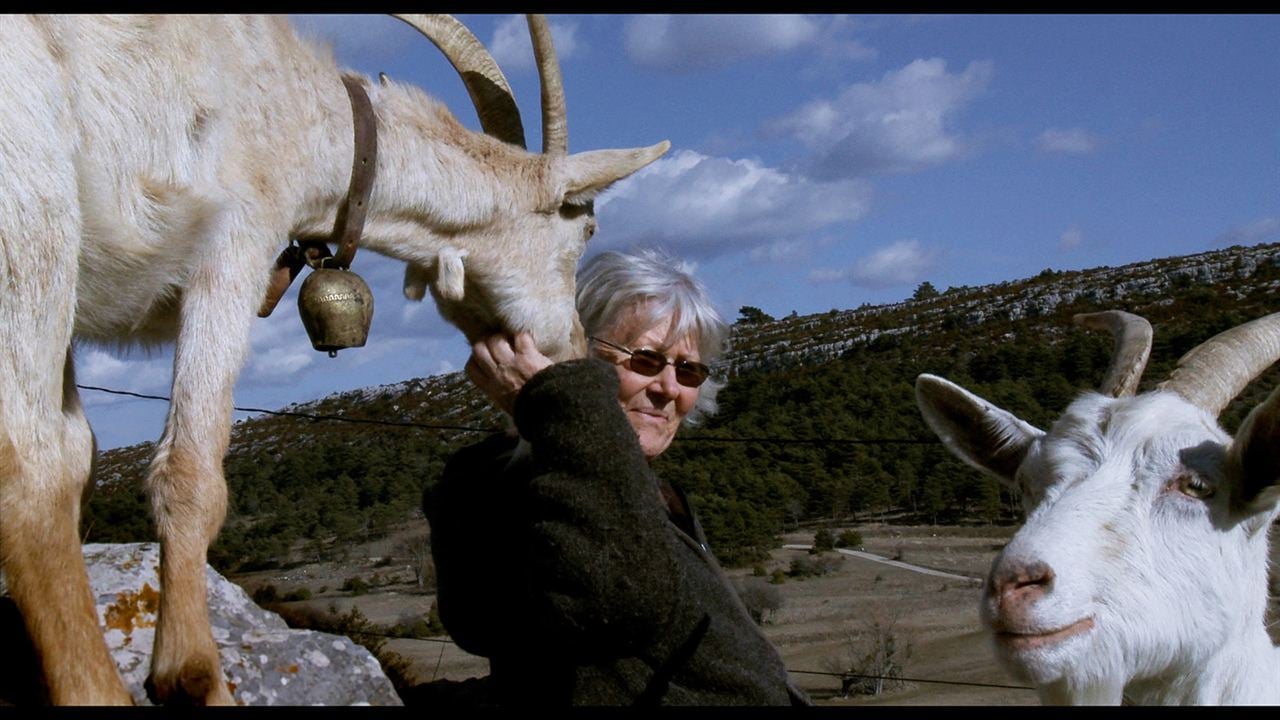 Les Chèvres de ma mère : Photo