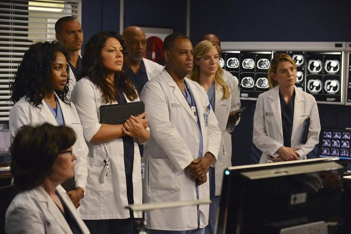 Grey's Anatomy : Photo Jerrika Hinton, James Pickens Jr., Tessa Ferrer, Ellen Pompeo, Sara Ramirez, Jesse Williams
