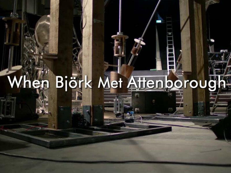 When Björk met Attenborough: The Nature of Music : Photo