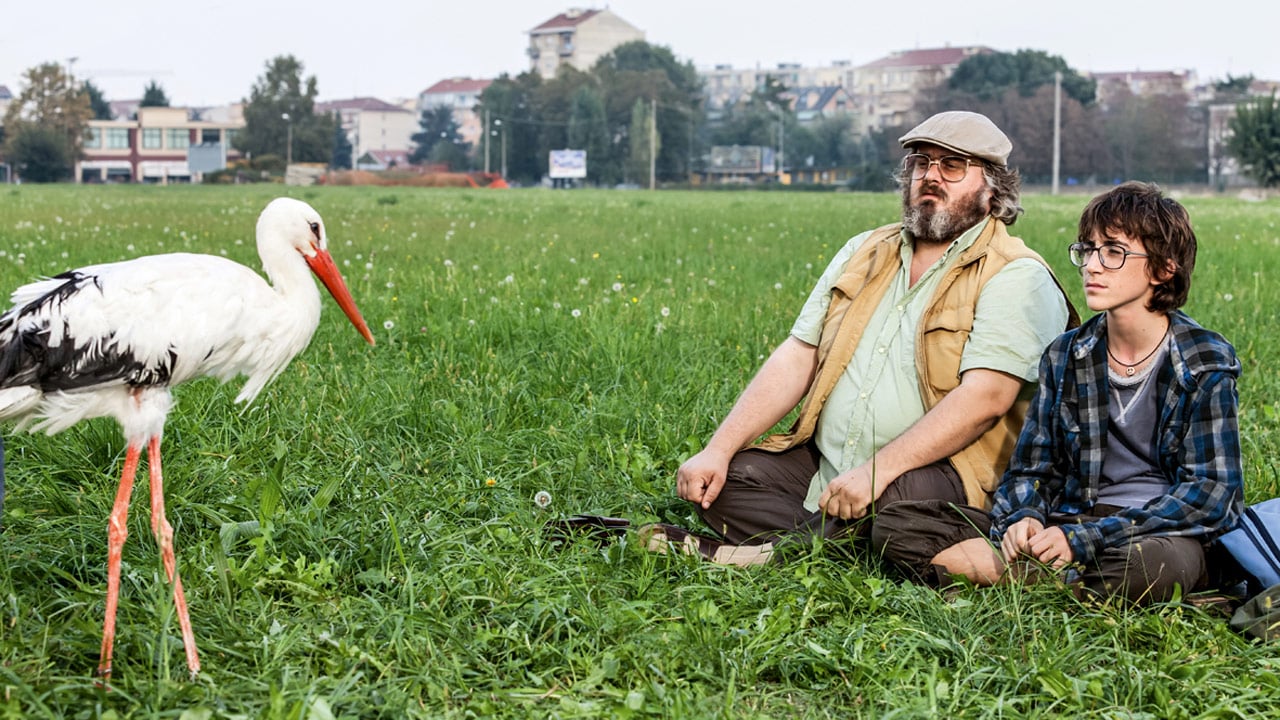 Le commandant et la cigogne : Photo