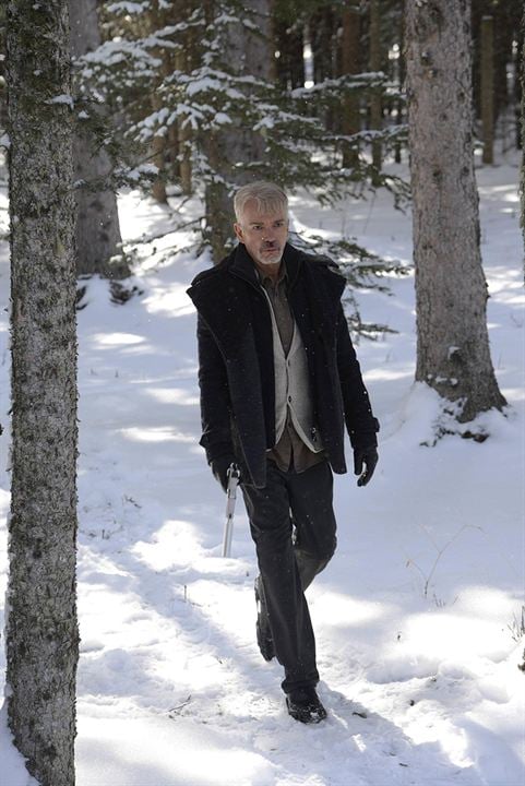 Fargo (2014) : Photo Billy Bob Thornton