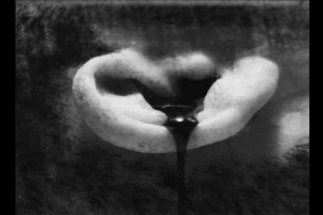 Chilling Visions: 5 Senses of Fear : Photo