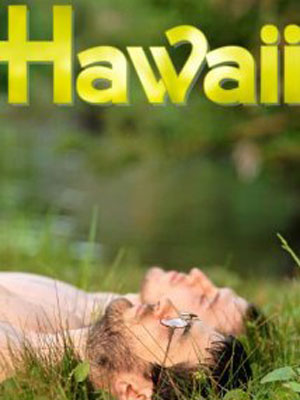 Hawaii : Affiche