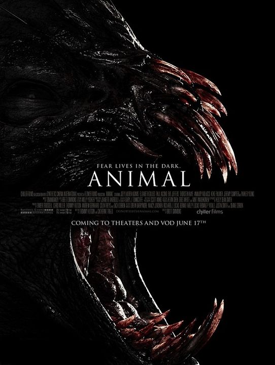 Animal : Affiche