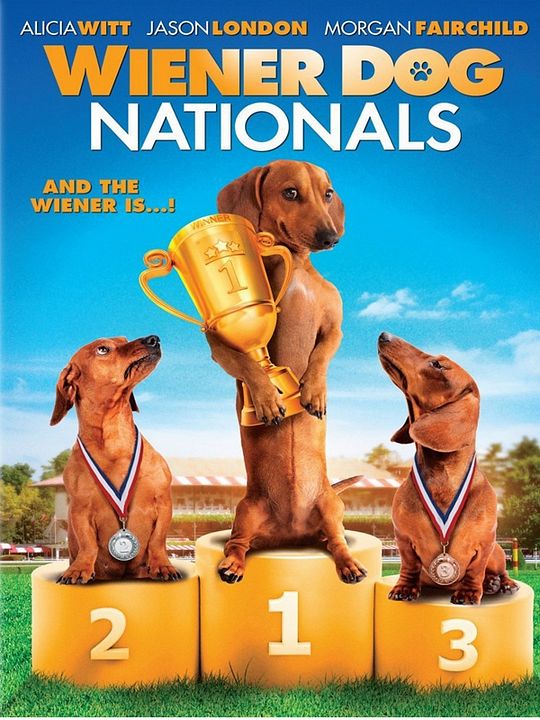 Shelly, champion à 4 pattes : Affiche