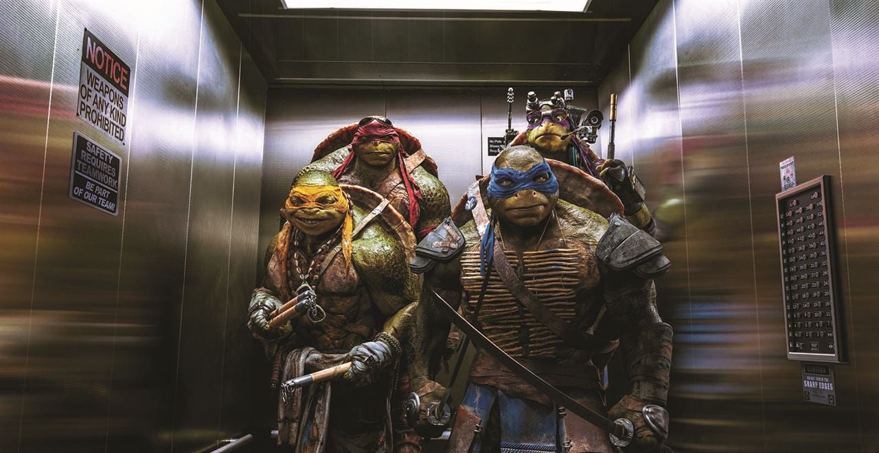 Ninja Turtles : Photo