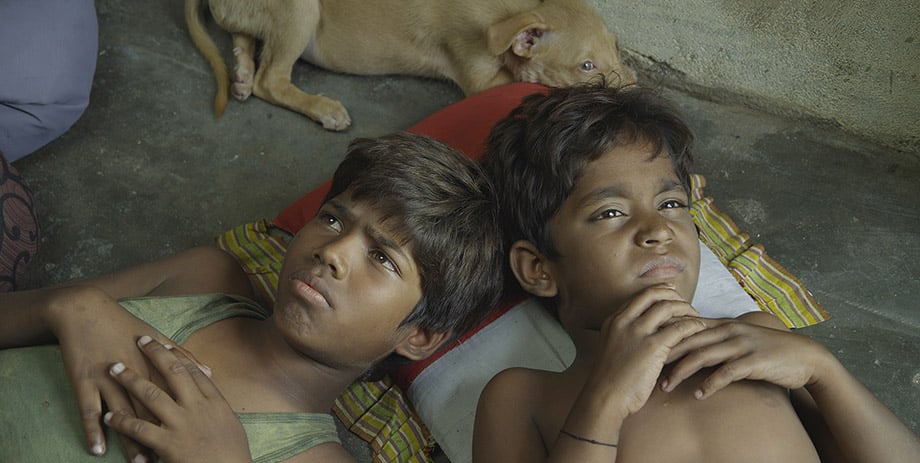 Kaakka Muttai : Photo